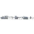Blister Pillow Cartoning Packaging Line